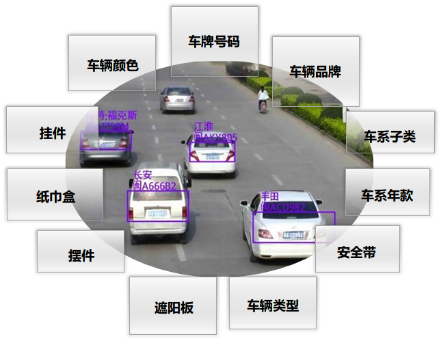 涉车案件结构化分析