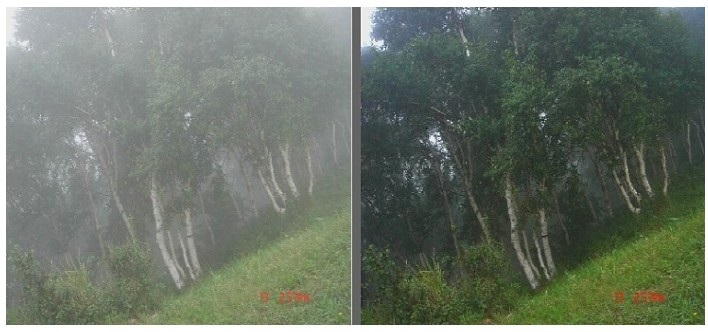 Z6人生就是博专业视频图像处置分析系统