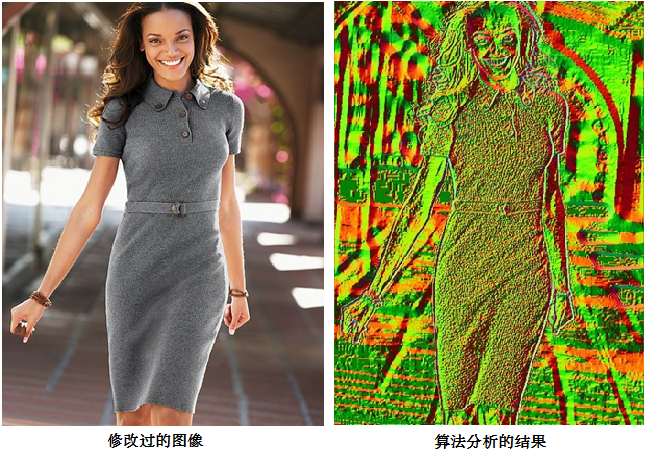 Z6人生就是博影像真伪鉴定系统