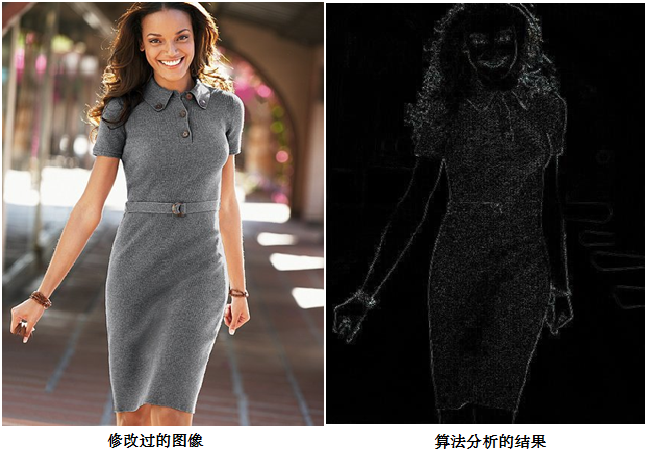 Z6人生就是博影像真伪鉴定系统