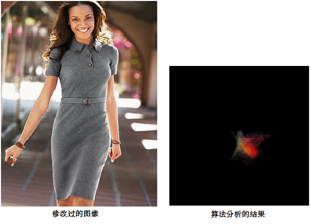 Z6人生就是博影像真伪鉴定系统