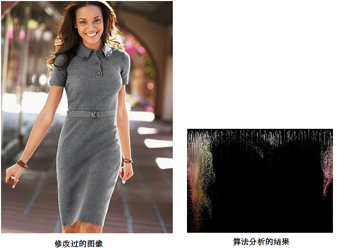 Z6人生就是博影像真伪鉴定系统