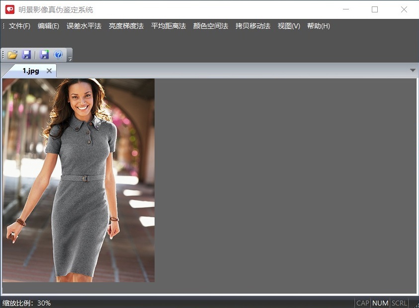 Z6人生就是博影像真伪鉴定系统