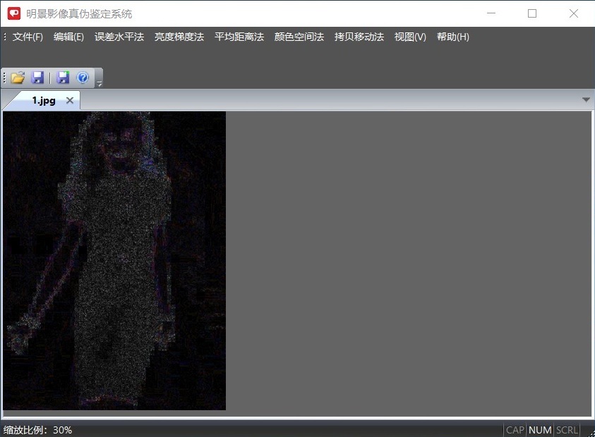 Z6人生就是博影像真伪鉴定系统