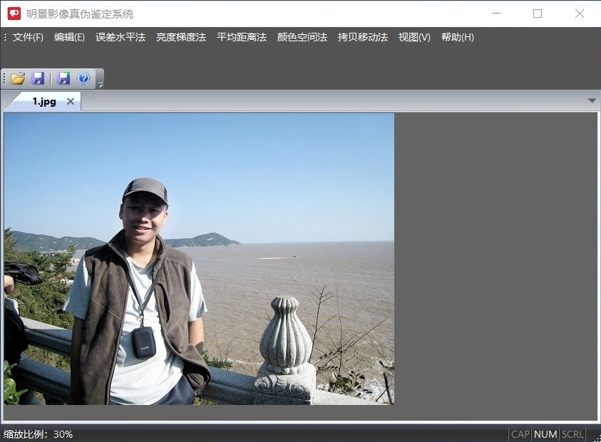 Z6人生就是博影像真伪鉴定系统