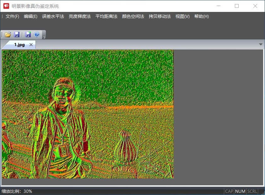 Z6人生就是博影像真伪鉴定系统