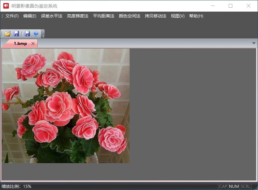 Z6人生就是博影像真伪鉴定系统