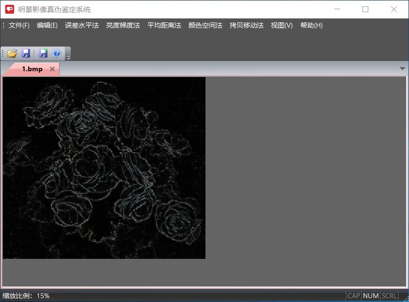 Z6人生就是博影像真伪鉴定系统