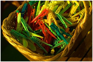 Z6人生就是博影像真伪鉴定系统