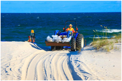 Z6人生就是博影像真伪鉴定系统