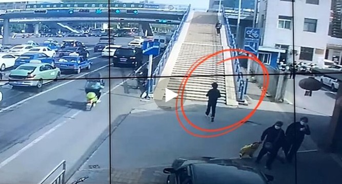 Z6·人生就是博(中国区)官方网站